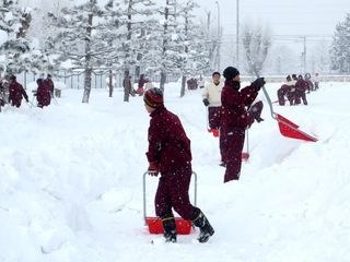 旭川北高校野球部