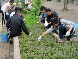 アステラス製薬株式会社