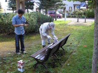 ウッドタウン町内会