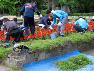 アステラス製薬株式会社