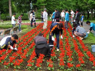 アステラス製薬株式会社