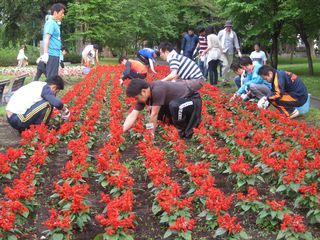 アステラス製薬株式会社