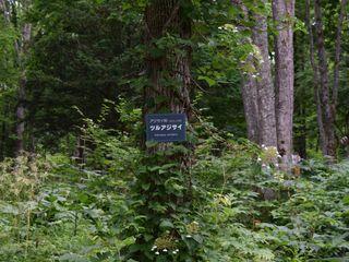 旭川市立嵐山小学校