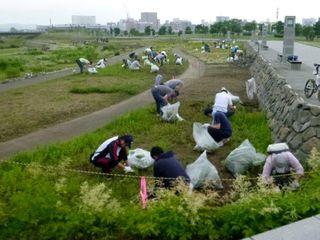 taniwakigumi_2017_06_24_002.jpg