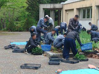 kishidagumi_2024_05_17_003.jpg