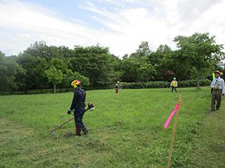 kitakmori20240705_001.jpg