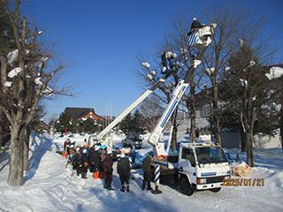 ryokukazouen2025_01_001.jpg