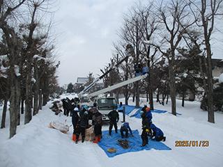 ryokukazouen2025_01_003.jpg