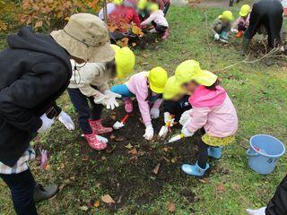 syunkoudai_nursery_school_2019_10_24_003.jpg