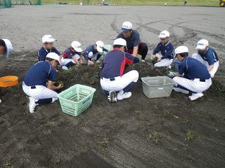 taisetsu_little_league_2018_06_23_003.jpg