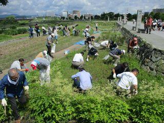 taniwakigumi_2018_06_30_001.jpg