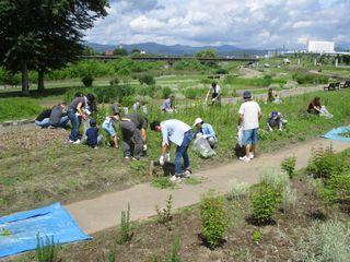 taniwakigumi_2018_06_30_002.jpg