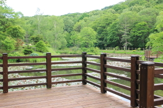 旭山三浦庭園（水上デッキ）