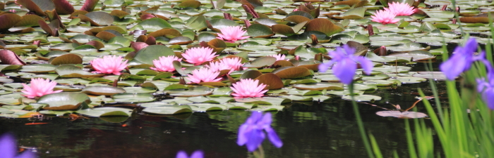 旭山三浦庭園