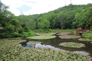 旭山三浦庭園