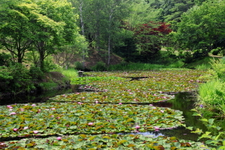 旭山三浦庭園