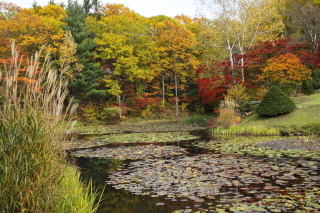 旭山三浦庭園_紅葉