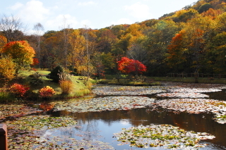 旭山三浦庭園_紅葉