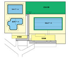 プール平面図