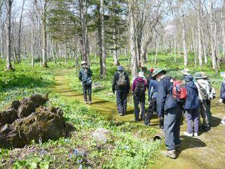 arashiyama_kouza_2024_001.JPG