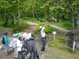 arashiyama_kouza_2024_003.JPG