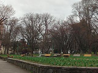 2025_4_25tokiwa002.jpg
