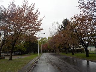 sakuta2026_05_04hanasaki003.jpg