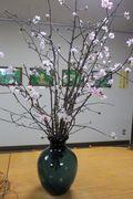 sakura_cut_flowers_2024_002.jpg