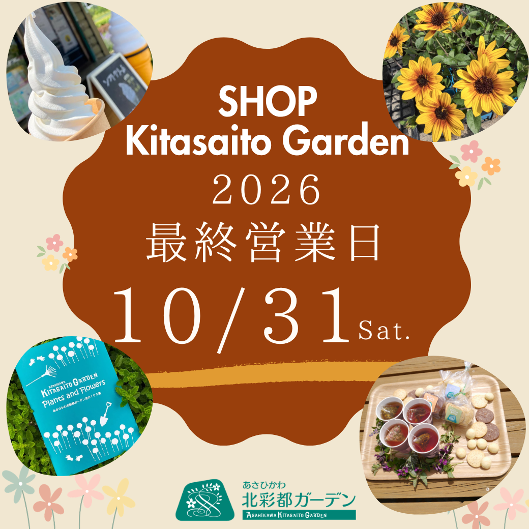 赤と白　シンプル　期間限定クーポン　LINEリッチメッセージ (5).png