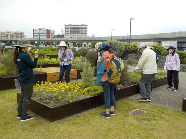DSCN6197.JPG