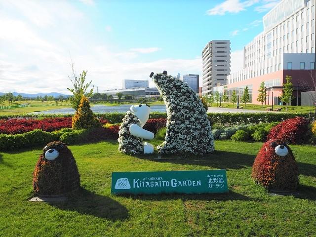P6044248.jpg