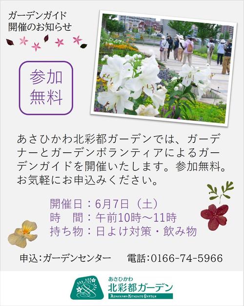 【ガーデンガイド】6月7日本文.jpg