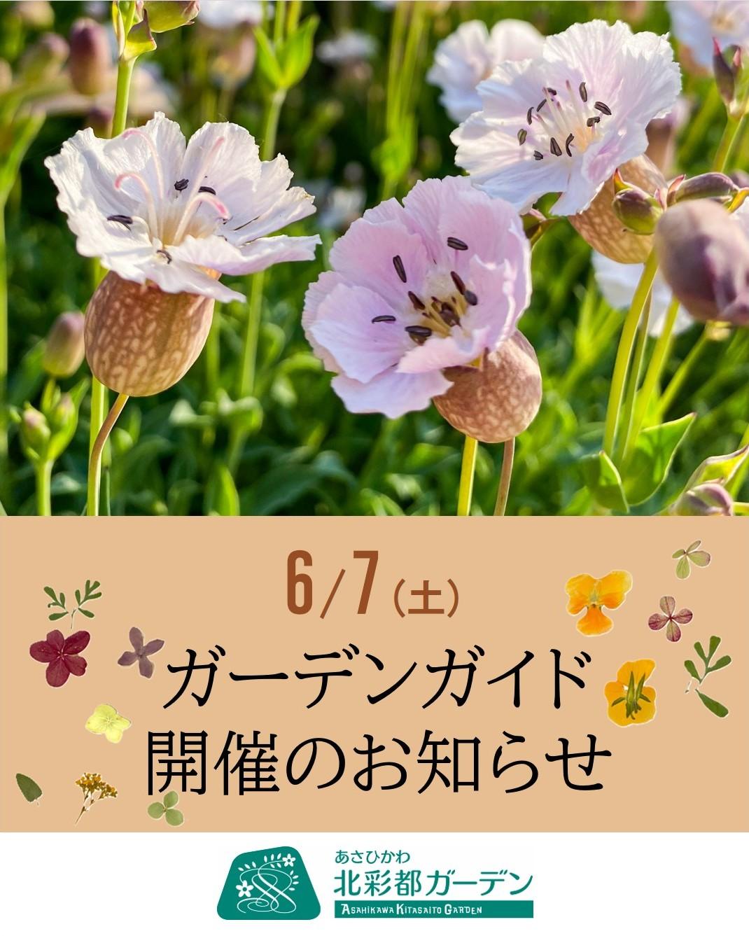【ガーデンガイド】6月7日.jpg