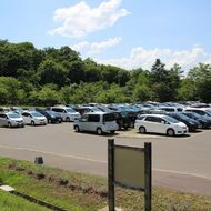 公園駐車場（旭山動物園へのお客様で混雑します。）