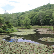 旭山三浦庭園（旧三浦庭園）
平成２６年７月５日オープン