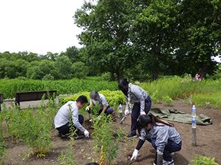 2026_06_26taniwaki_003.jpg