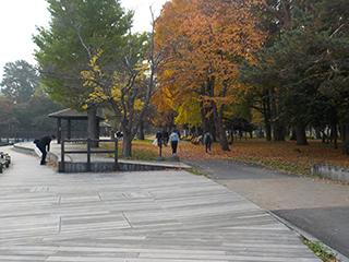 2026_10_12ion_003.jpg